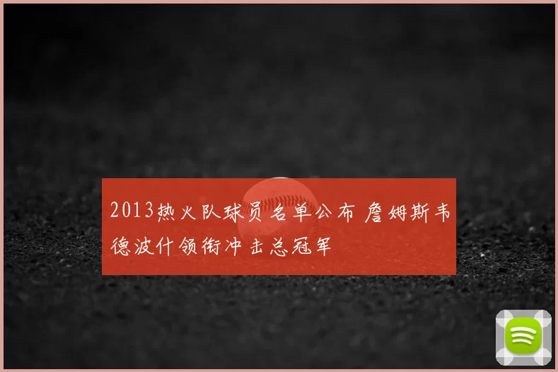 2013热火队球员名单公布 詹姆斯韦德波什领衔冲击总冠军