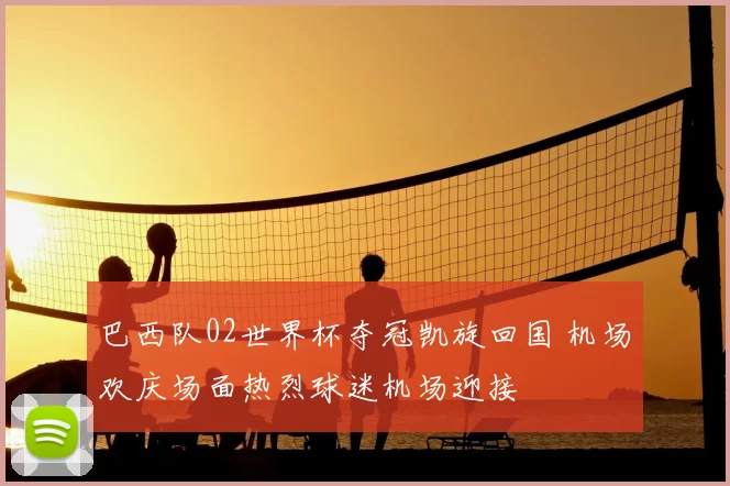 巴西队02世界杯夺冠凯旋回国 机场欢庆场面热烈球迷机场迎接