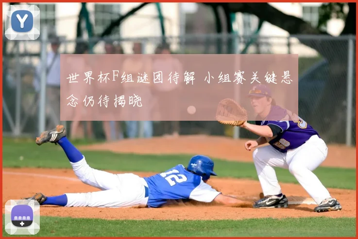 世界杯F组谜团待解 小组赛关键悬念仍待揭晓