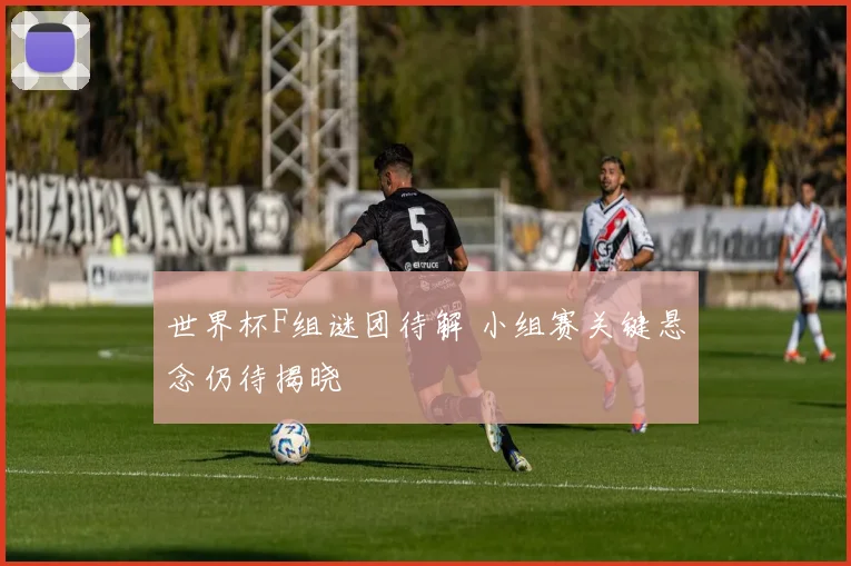 世界杯F组谜团待解 小组赛关键悬念仍待揭晓